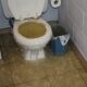 Clogged Toilet