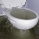 Clogged Toilet